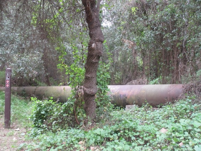 walking on campus at sunset